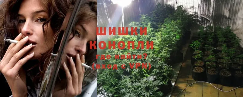 наркотики  Уяр  Конопля SATIVA & INDICA 